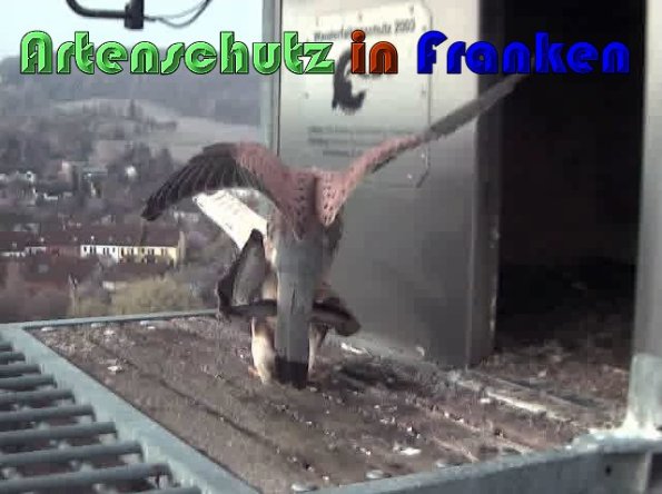 Copyright AiS Wörner Bild zum Eintrag (57427-160)