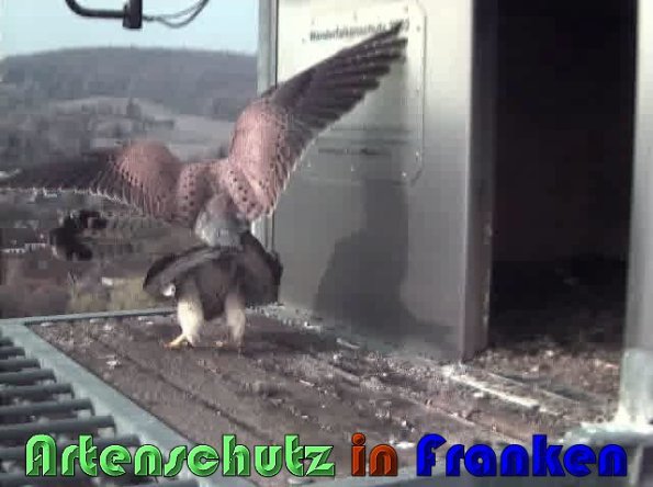 Copyright AiS Wörner Bild zum Eintrag (57428-160)