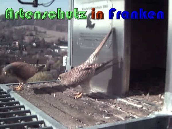 Copyright AiS Wörner Bild zum Eintrag (57430-160)