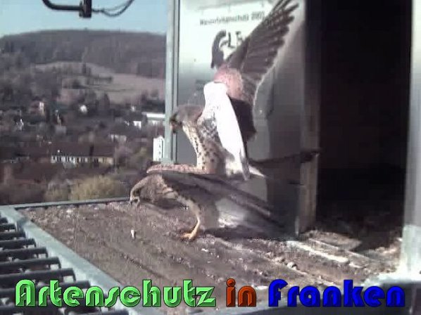 Copyright AiS Wörner Bild zum Eintrag (57431-160)