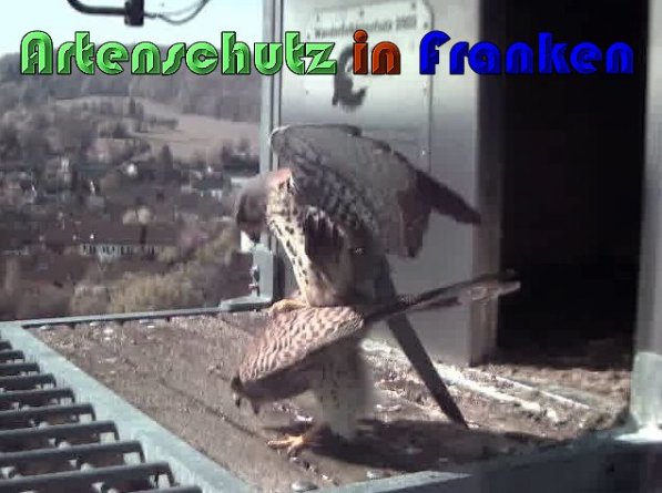 Bild zum Eintrag (57433-160)