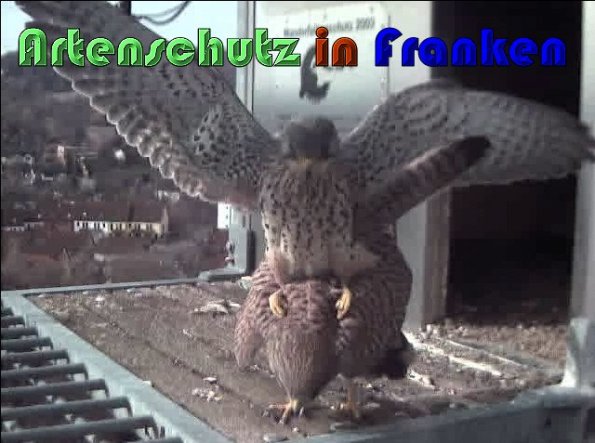 Copyright AiS Wörner Bild zum Eintrag (57436-160)