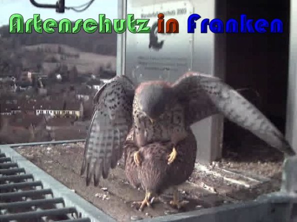 Copyright AiS Wörner Bild zum Eintrag (57437-160)