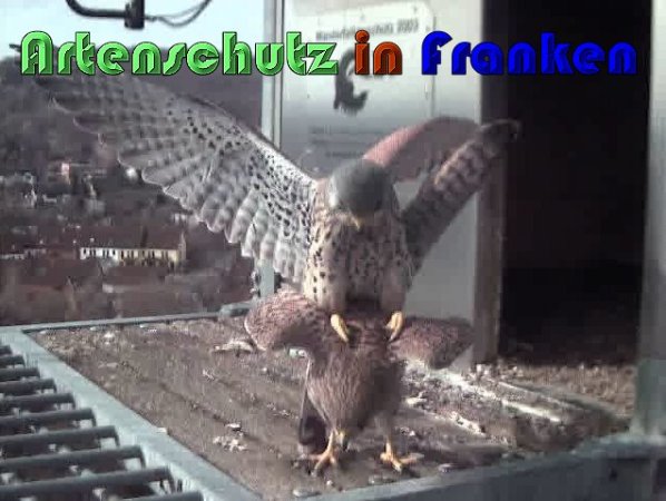 Copyright AiS Wörner Bild zum Eintrag (57438-160)