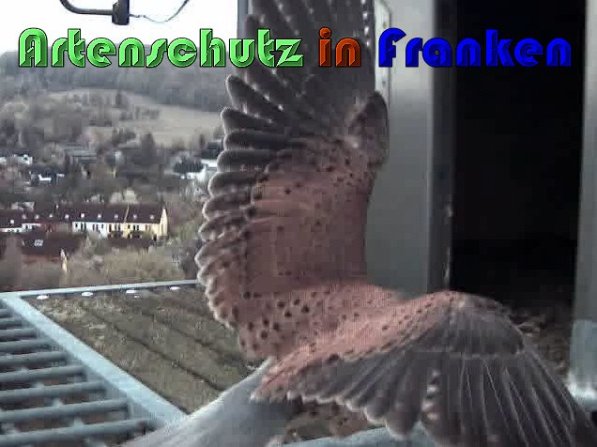 Copyright AiS Wörner Bild zum Eintrag (57440-160)