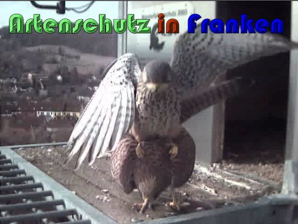 Copyright AiS Wörner Bild zum Eintrag (57442-160)
