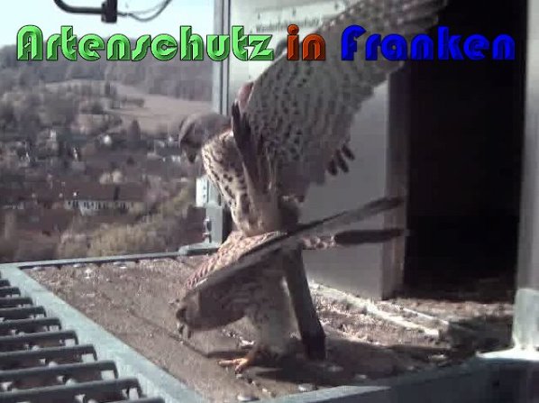 Copyright AiS Wörner Bild zum Eintrag (57444-160)