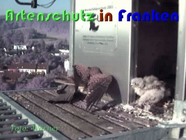 Copyright AiS Wörner Bild zum Eintrag (59339-160)