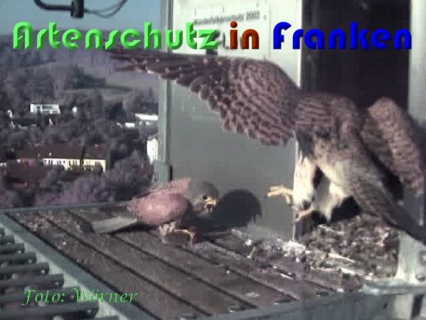 Copyright AiS Wörner Bild zum Eintrag (59340-160)