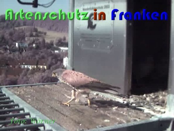 Copyright AiS Wörner Bild zum Eintrag (59342-160)