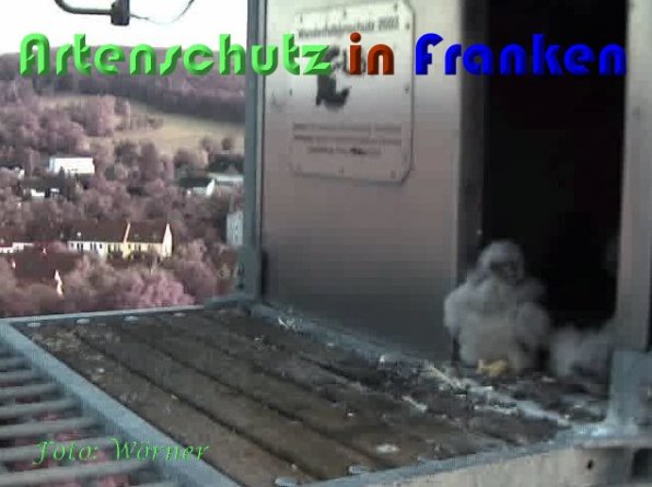 Copyright AiS Wörner Bild zum Eintrag (59343-160)