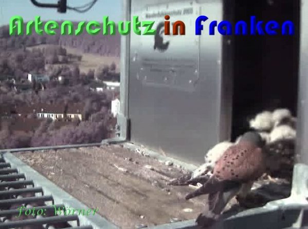 Copyright AiS Wörner Bild zum Eintrag (59344-160)