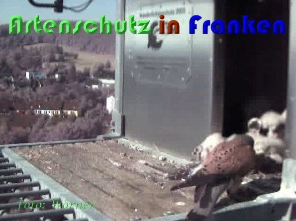 Copyright AiS Wörner Bild zum Eintrag (59345-160)