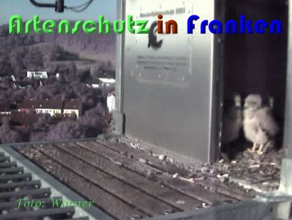 Copyright AiS Wörner Bild zum Eintrag (59346-160)