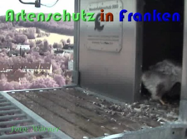 Copyright AiS Wörner Bild zum Eintrag (59347-160)