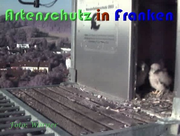 Copyright AiS Wörner Bild zum Eintrag (59348-160)