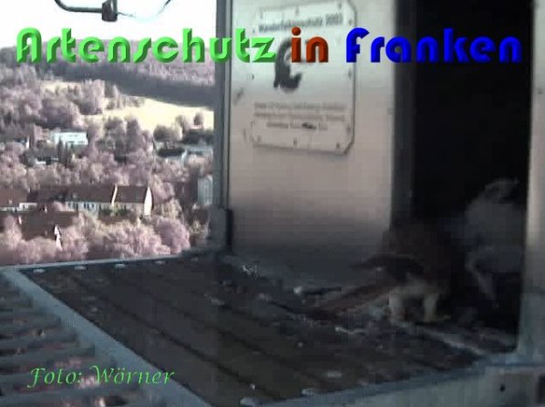 Copyright AiS Wörner Bild zum Eintrag (59351-160)