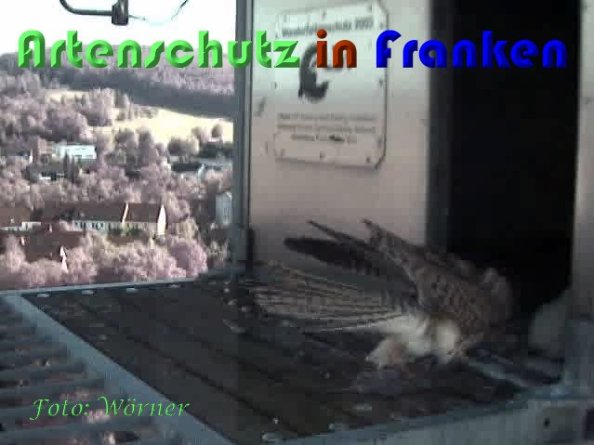 Copyright AiS Wörner Bild zum Eintrag (59352-160)