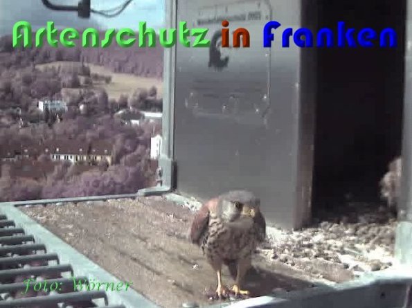 Copyright AiS Wörner Bild zum Eintrag (59353-160)