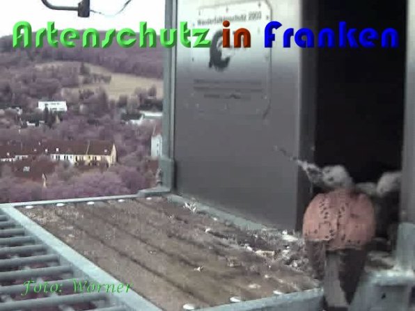 Copyright AiS Wörner Bild zum Eintrag (59355-160)