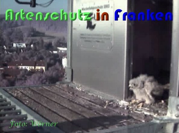 Copyright AiS Wörner Bild zum Eintrag (59357-160)