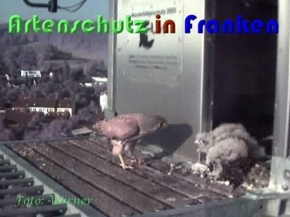 Copyright AiS Wörner Bild zum Eintrag (59358-160)