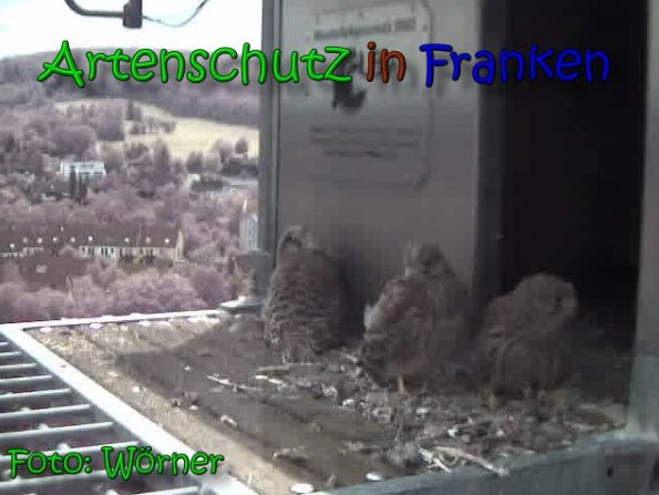 Copyright AiS Raimund Wörner Bild zum Eintrag (63452-160)