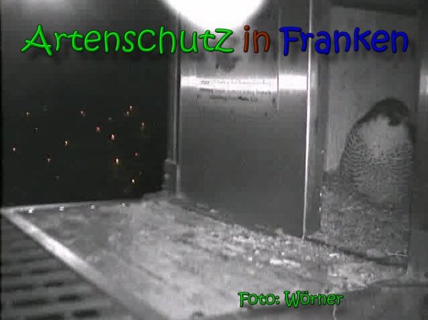 Copyright AiS Raimund Wörner Bild zum Eintrag (64697-160)