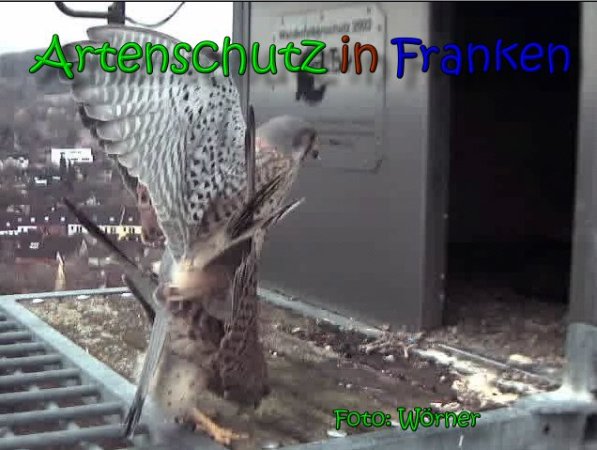 Copyright AiS Raimund Wörner Bild zum Eintrag (64702-160)