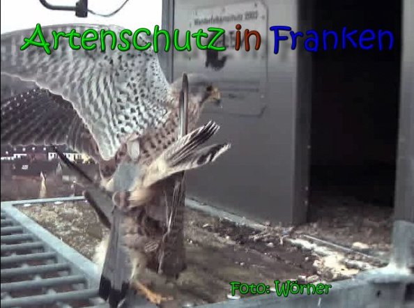 Copyright AiS Raimund Wörner Bild zum Eintrag (64704-160)