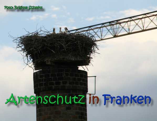 Copyright AiS Brigitte Schmitt Bild zum Eintrag (66489-160)