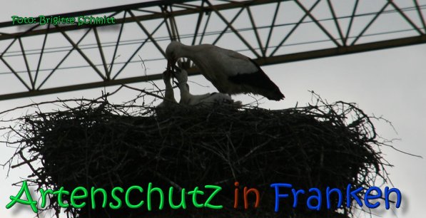 Copyright AiS Brigitte Schmitt Bild zum Eintrag (66491-160)