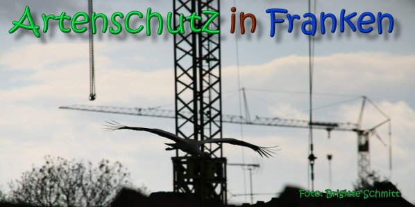 Copyright AiS Brigitte Schmitt Bild zum Eintrag (66493-160)