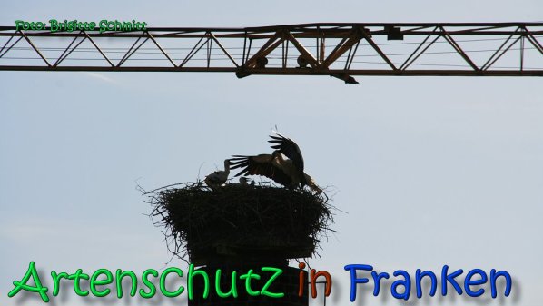 Copyright AiS Brigitte Schmitt Bild zum Eintrag (66494-160)