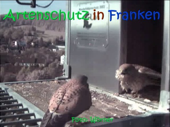 Copyright AiS Raimund Wörner Bild zum Eintrag (67084-160)