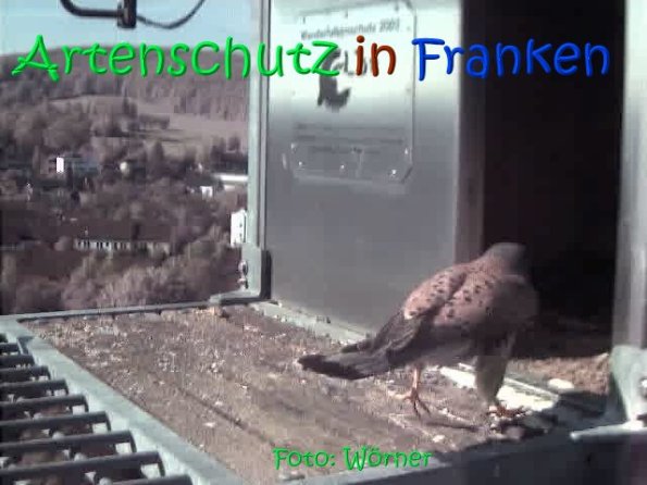 Copyright AiS Raimund Wörner Bild zum Eintrag (67086-160)
