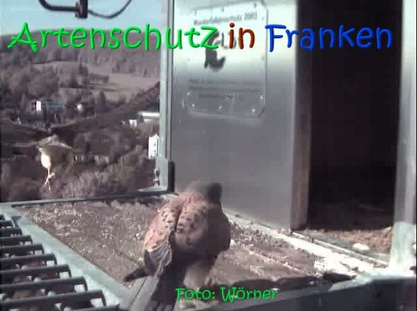 Copyright AiS Raimund Wörner Bild zum Eintrag (67087-160)
