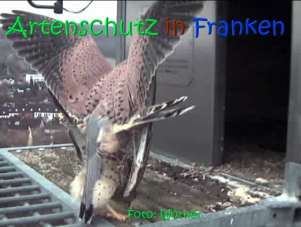 Copyright AiS Raimund Wörner Bild zum Eintrag (67104-160)