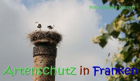 Copyright AiS Brigitte Schmitt Bild zum Eintrag (67585-160)
