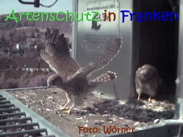 Copyright AiS Raimund Wörner Bild zum Eintrag (67619-160)