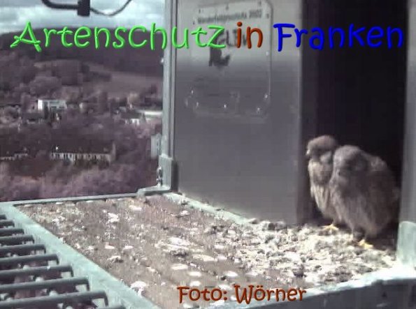 Copyright AiS Raimund Wörner Bild zum Eintrag (67621-160)