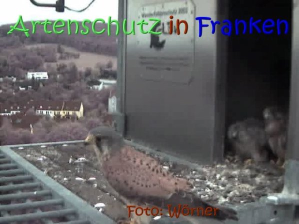 Copyright AiS Raimund Wörner Bild zum Eintrag (67623-160)