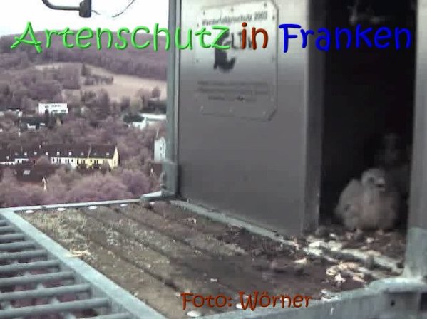Copyright AiS Raimund Wörner Bild zum Eintrag (67624-160)