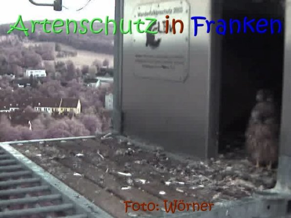 Copyright AiS Raimund Wörner Bild zum Eintrag (67627-160)