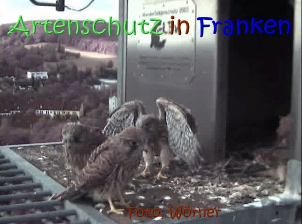 Copyright AiS Bild zum Eintrag (67628-160)
