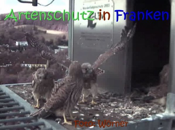 Copyright AiS Raimund Wörner Bild zum Eintrag (67631-160)