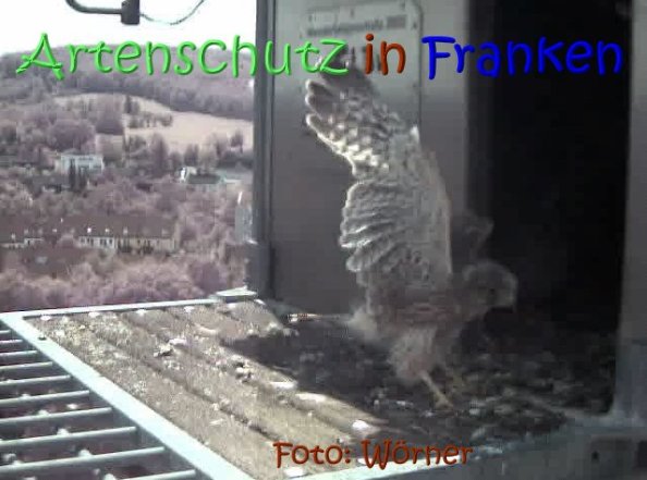 Copyright AiS Raimund Wörner Bild zum Eintrag (67633-160)