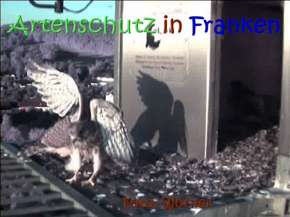Copyright AiS Raimund Wörner Bild zum Eintrag (67634-160)