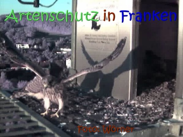 Copyright AiS Raimund Wörner Bild zum Eintrag (67635-160)