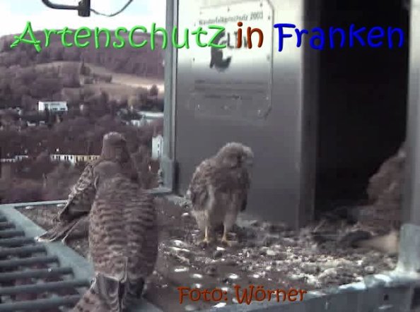 Copyright AiS Raimund Wörner Bild zum Eintrag (67636-160)